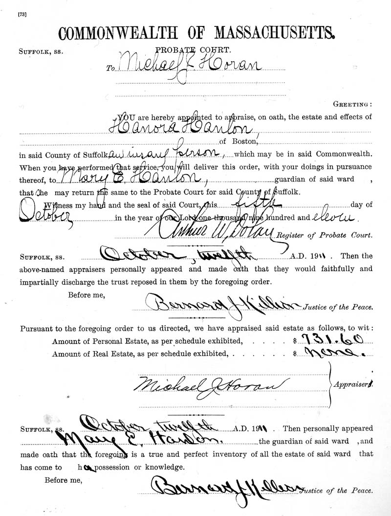 HH Guardianship A4.jpg 151.4K